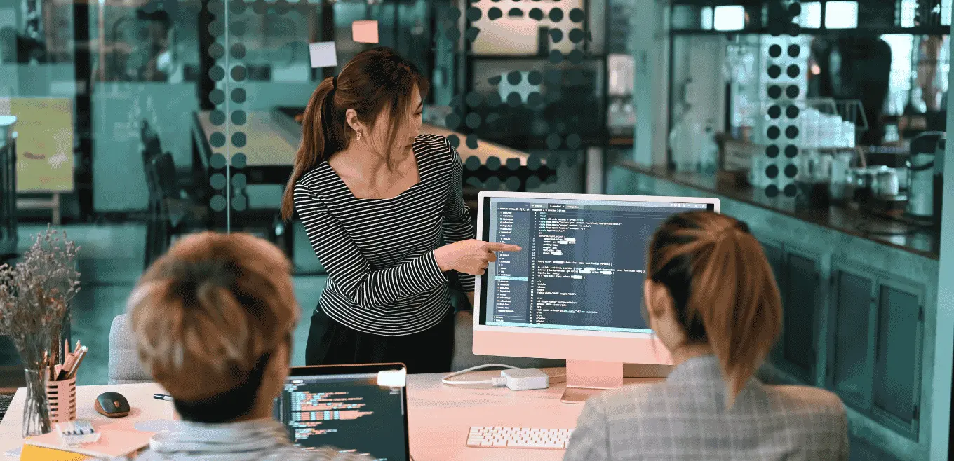 API Integration Software Developer Engineer Specialist